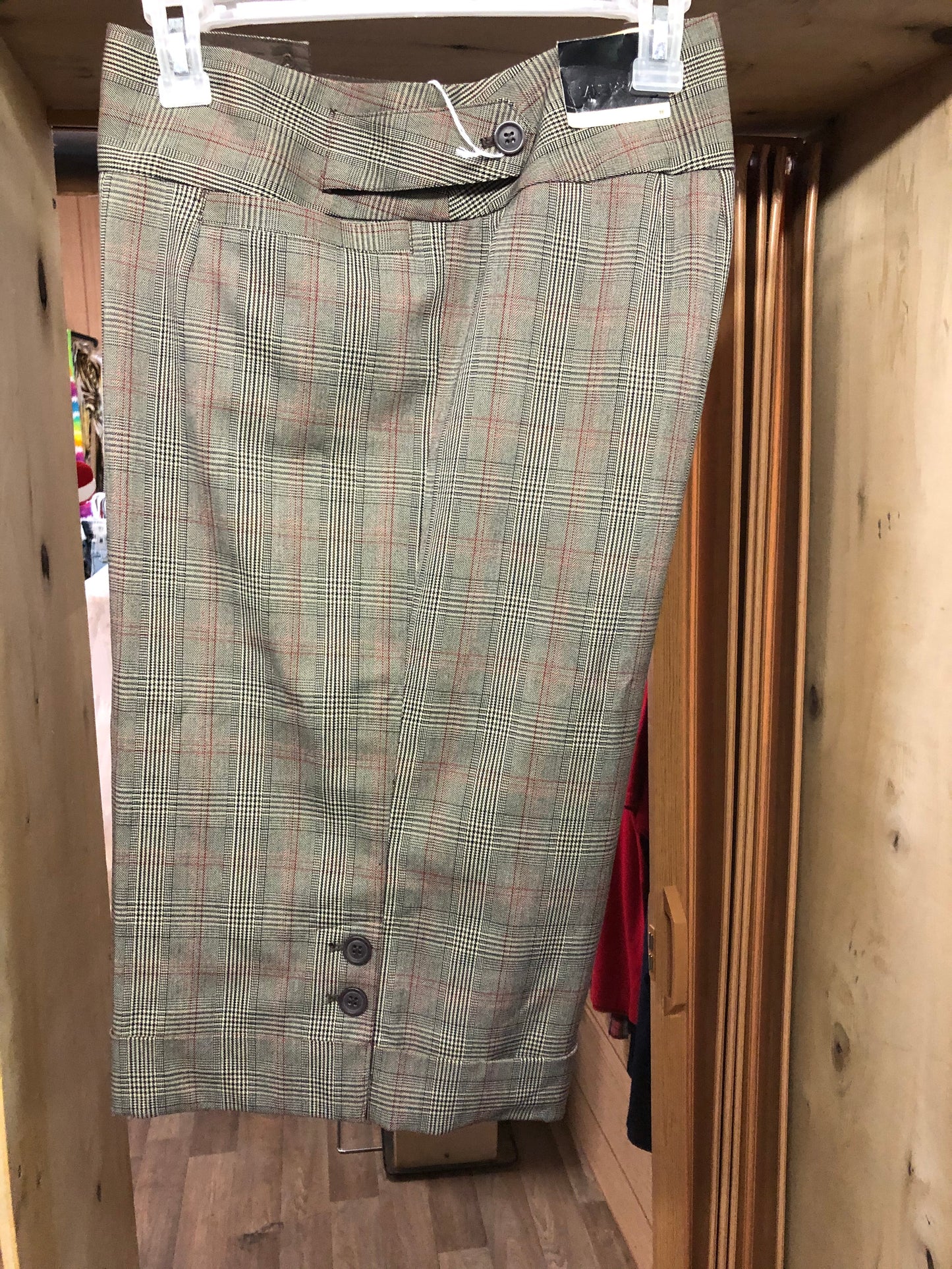 Lane Bryant Capri Paints Multi Color Strips