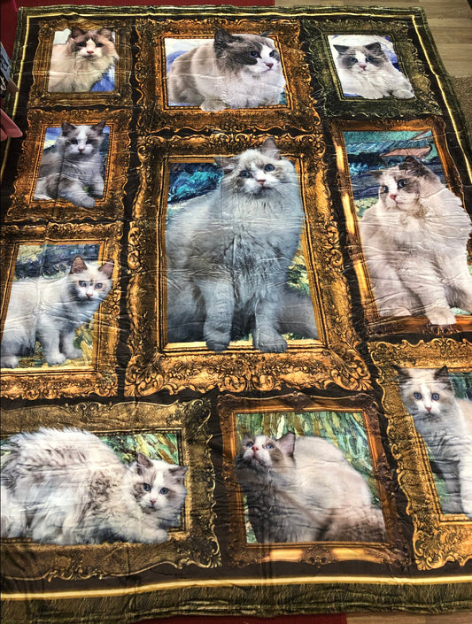 Great For The Lover Of Cats Wrap Yourself In This Blanket Of Cats "New Arrival"  80"Lx60"WThanks For Your Purchase, (SOLD OUT)