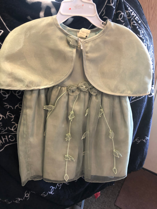 Toddler Girls 2piece Dress Size 2T By; b.t. Kids Color Pea Green